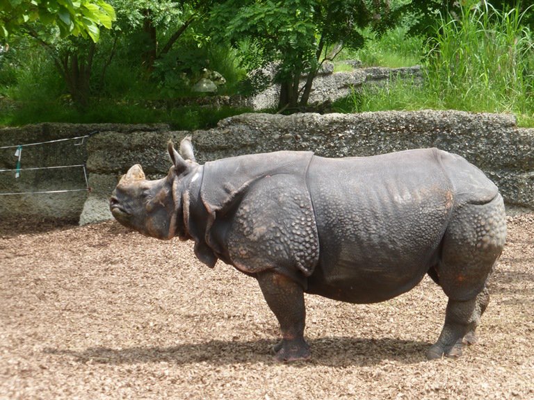 Narresume-Ausflug Basler Zoo